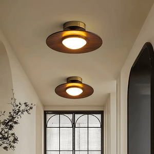 Contemporary Elegant Metal Led Hallway Ceiling Light