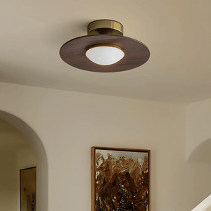 Contemporary Elegant Metal Led Hallway Ceiling Light