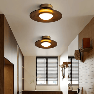 Contemporary Elegant Metal Led Hallway Ceiling Light