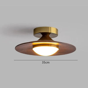 Contemporary Elegant Metal Led Hallway Ceiling Light