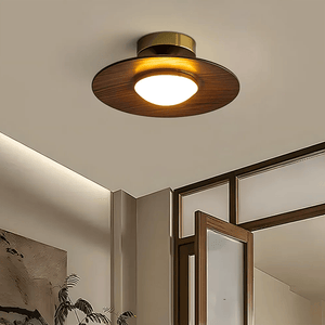 Contemporary Elegant Metal Led Hallway Ceiling Light