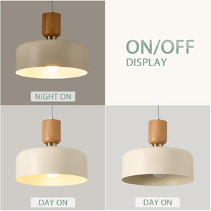 Modern Nordic Round Metal and Wood Pendant Lamp