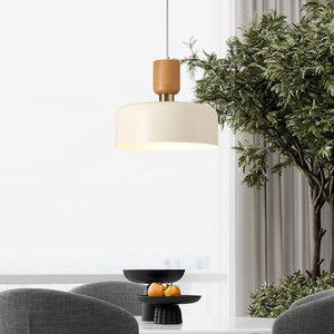 Modern Nordic Round Metal and Wood Pendant Lamp