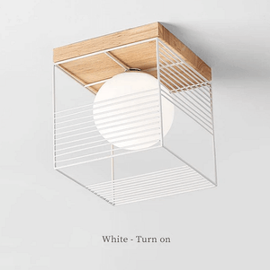 Escher - Vintage Cage Ceiling Lights | Bright & Plus.