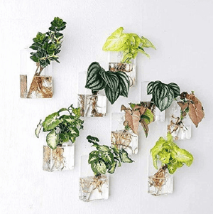 Set of 4 Wall Mountable Planters | Bright & Plus.