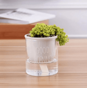Shuka - Automatic Watering Ceramic Planter Pot | Bright & Plus.