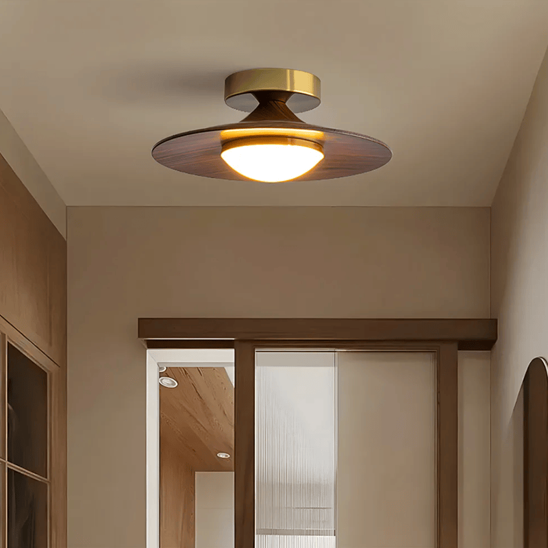 Contemporary Elegant Metal Led Hallway Ceiling Light