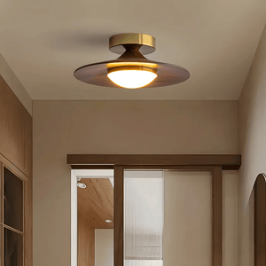 Contemporary Elegant Metal Led Hallway Ceiling Light