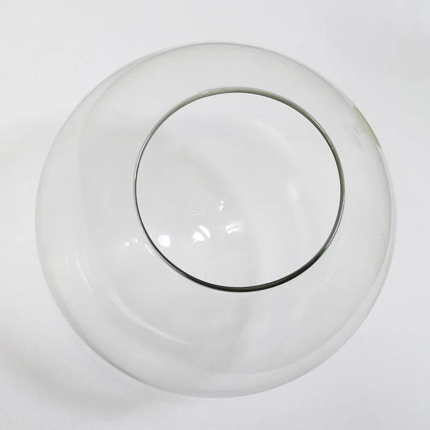Modern Clear Glass Lamp Shades Dia15cm/5.90inch Round Lamp Cover for Pendant Light