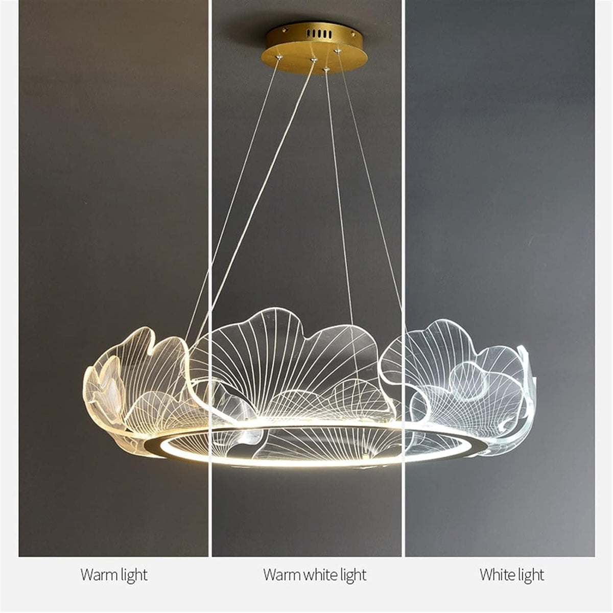 A modern circular pendant light with a gold ceiling canopy and a sculptural clear acrylic ring featuring fine wire-like lines. The image shows three lighting modes side by side against a dark gray background: warm light, warm white light, and white light, with labels underneath.