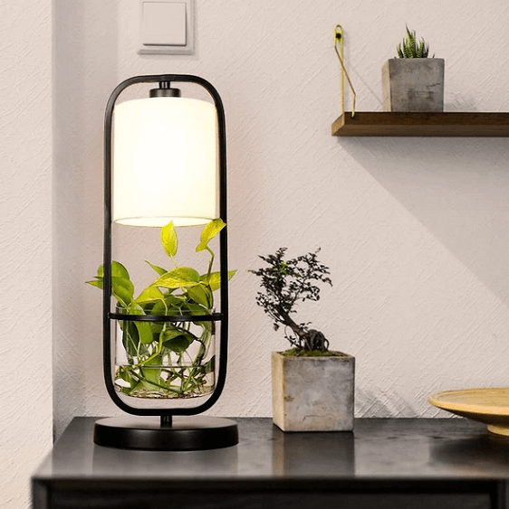 Augustus - Frame Planter LED Desk Lamp | Bright & Plus.