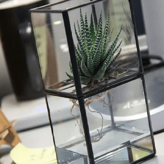 hydroponic succulents Barnabas - Modern Hydroponic Succulent Frame Planter