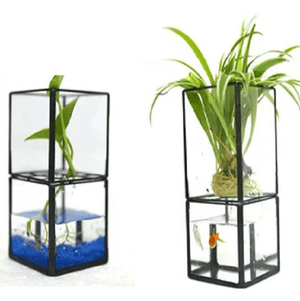 Barnabas - Modern Hydroponic Succulent Frame Planter | Bright & Plus.