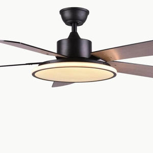 Brady - Modern LED Light Ceiling Fan | Bright & Plus.