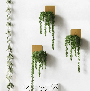 Christophe - Modern Wall Planter | Bright & Plus.