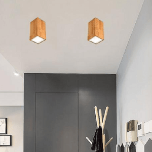 Dru - Modern Nordic LED Ceiling Lights | Bright & Plus.
