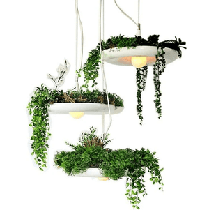 Mauricio - Modern Planter Lampshade | Bright & Plus.