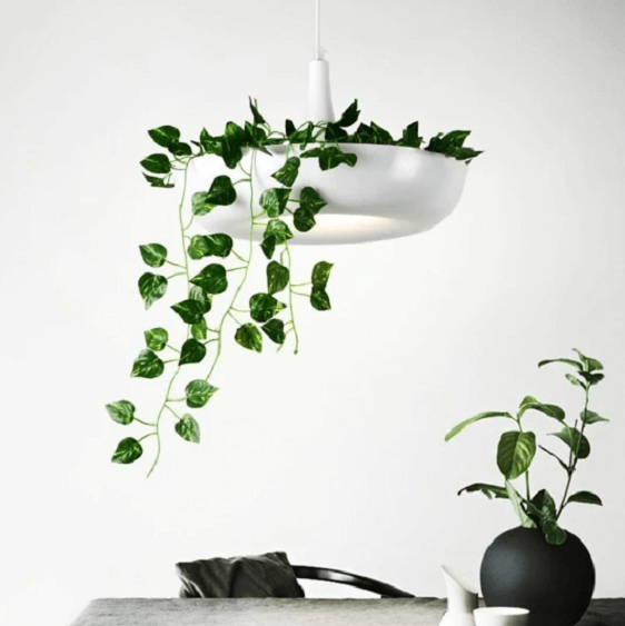 Mauricio - Modern Planter Lampshade | Bright & Plus.