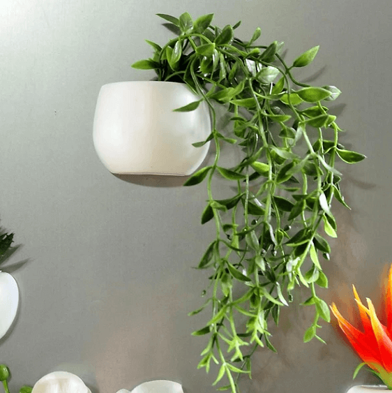 Mini Fridge Magnet Planter | Bright & Plus.