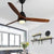 Modern Nordic Ceiling Fan with LED Light | Bright & Plus.