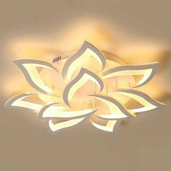 Rose Light | Bright & Plus.