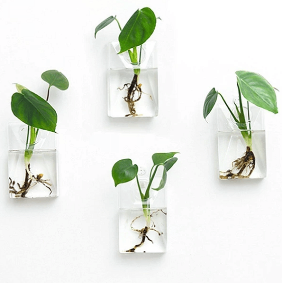 wall hanging glass planter Set of 4 Wall Mountable Planters