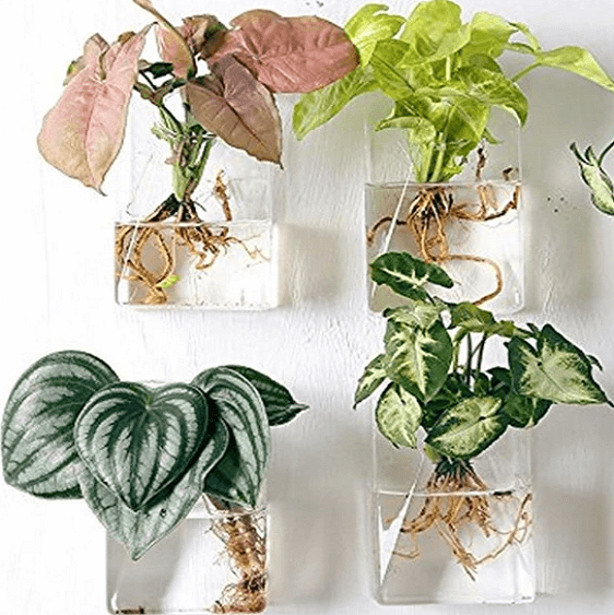 Set of 4 Wall Mountable Planters | Bright & Plus.