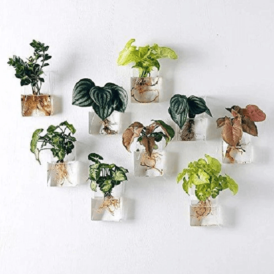 bright pots for plants Set of 4 Wall Mountable Planters