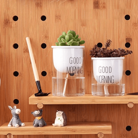 Shuka - Automatic Watering Ceramic Planter Pot | Bright & Plus.