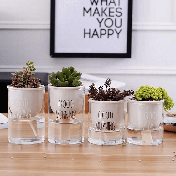 bright ceramic plant pots Shuka - Automatic Watering Ceramic Planter Pot