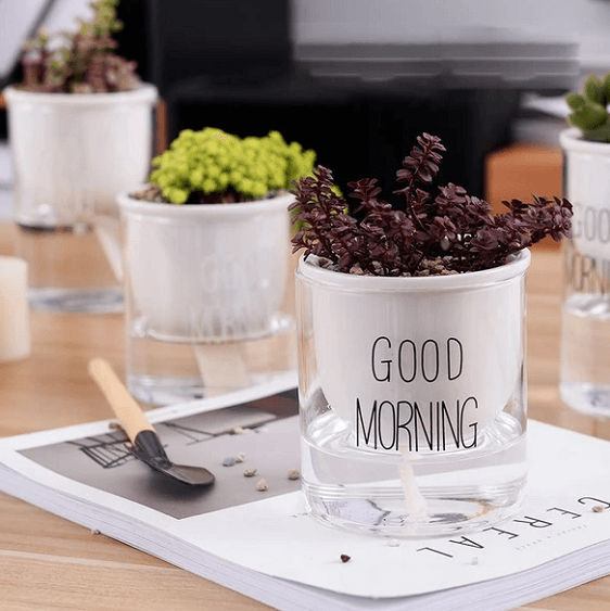 Shuka - Automatic Watering Ceramic Planter Pot | Bright & Plus.