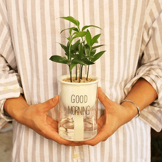 Shuka - Automatic Watering Ceramic Planter Pot | Bright & Plus.