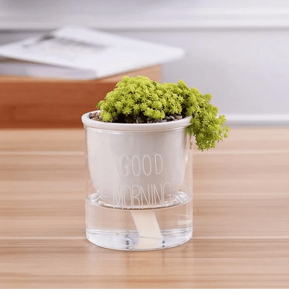 bright ceramic plant pots Shuka - Automatic Watering Ceramic Planter Pot