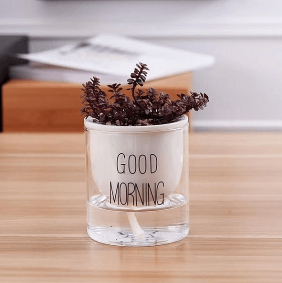 Shuka - Automatic Watering Ceramic Planter Pot | Bright & Plus.