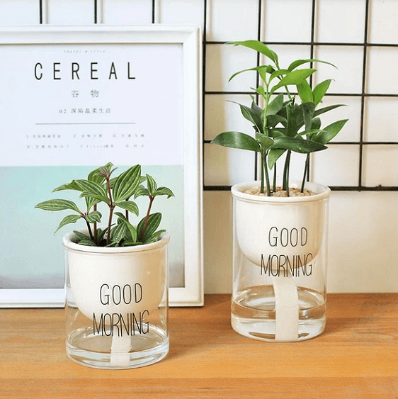 Shuka - Automatic Watering Ceramic Planter Pot | Bright & Plus.